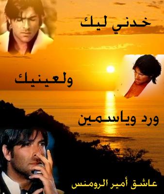 wael kfory